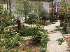 -小仙居·农家宴烤羊· 农庄