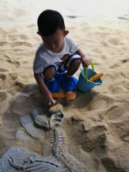 -恐龙探索乐园(磁器口店)