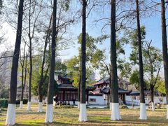 -堤角公园