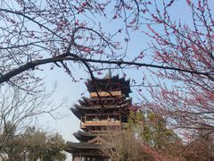 -杭州半山国家森林公园