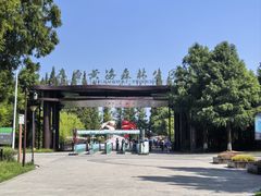 -黄海国家森林公园