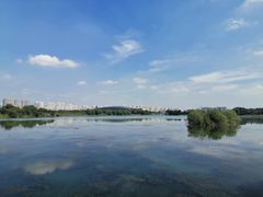 -贡湖湾湿地公园