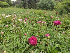 -长春公园(普阳街道)