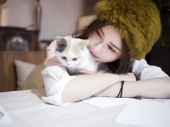 -吉丁鸟咖·异宠·寄养