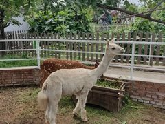 -丽泽山庄·生态怀柔菜·虹鳟鱼(红螺寺店)