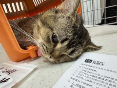 -宠颐生宠物医院·综合诊疗(先锋分院)