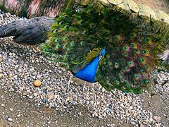 -南京金牛湖风景区