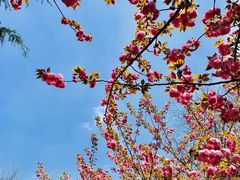 -华东理工大学-图书馆