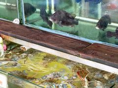 -钱大妈海鲜饭店(保利林语店)