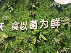 -菌乡缘·野生菌蒸汽鱼火锅(江边夜市店)