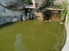 -烟台山景区