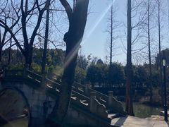 -兰亭风景区