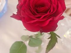 -花·fleur古董西餐厅(西城夜未央店)