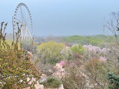 -石家庄市植物园