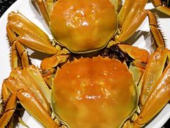 -金御水汇(花都店)