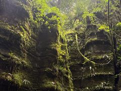 -梭布垭石林景区