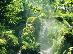 -Chom Cafe and Restaurant