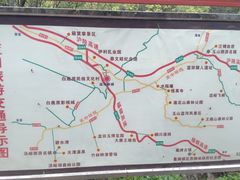 -王顺山国家森林公园