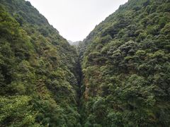 -午潮山国家森林公园