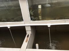 -水岸居湖景农家乐·阳澄湖大闸蟹