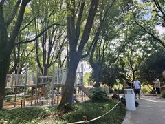 -宁波儿童公园(鄞州区)