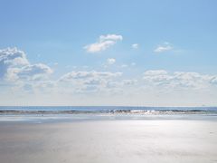 -日照海滨国家森林公园