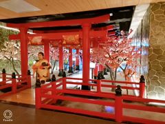 -蓝鲸湾汤泉(包河店)