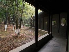 -八大山人梅湖景区