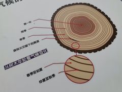 -中国杭州低碳科技馆