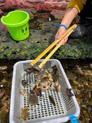 -钓虾工场·钓虾·赶海(回龙观店)