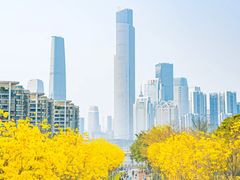 -洲头咀公园