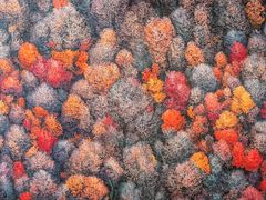 -罗红摄影艺术馆