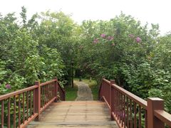景点-白沙门生态公园