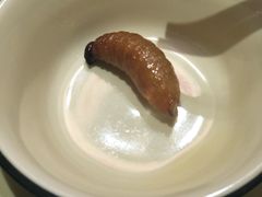-昆虫窝子·特色云南菜(拓东路总店)
