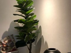 自助取餐区-喜茶(上海兴业太古汇店)