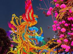 -厦门园林博览苑