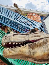 -宝燕乐园(闵行旗舰店)