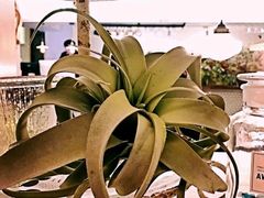 -娜娜家•Nana’Garden (福州道店)