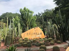 -深圳仙湖植物园