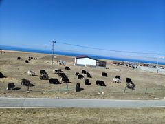 -青海湖国家重点风景名胜区