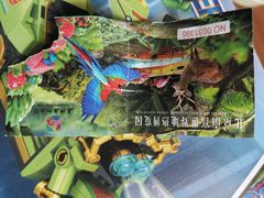 -南宫五洲植物乐园