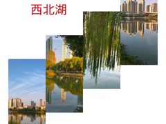 -西北湖绿化广场