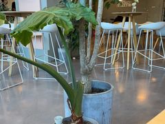 大堂-dotcom coffee古点咖啡(致真大厦店)