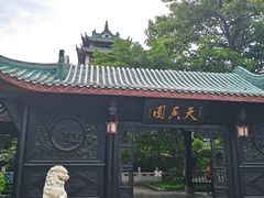-桂湖森林公园