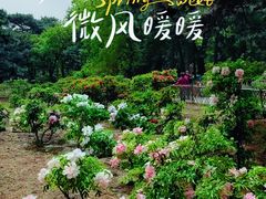 -国家植物园