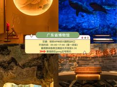 -广东中医药博物馆