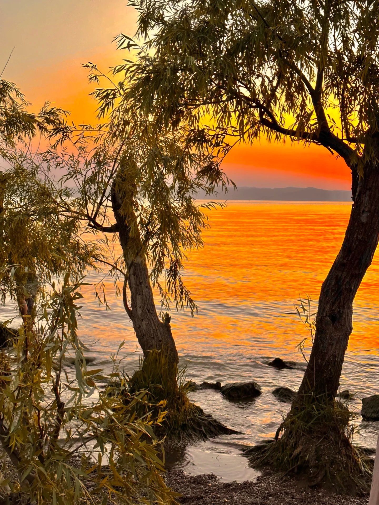 海鸥与天空,我与远方