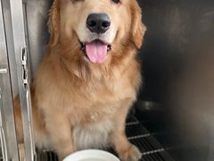 -佳雯宠物医院(四明中路分院)