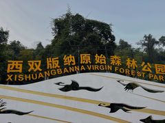 -西双版纳原始森林公园