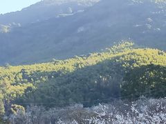 -广州市流溪河国家森林公园